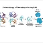 Advances in Cardiovascular Pharmacotherapy